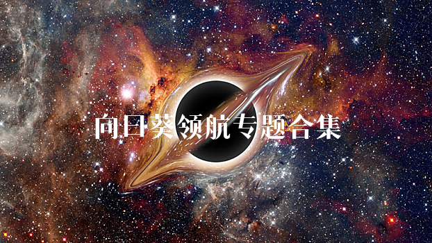 向日葵领航