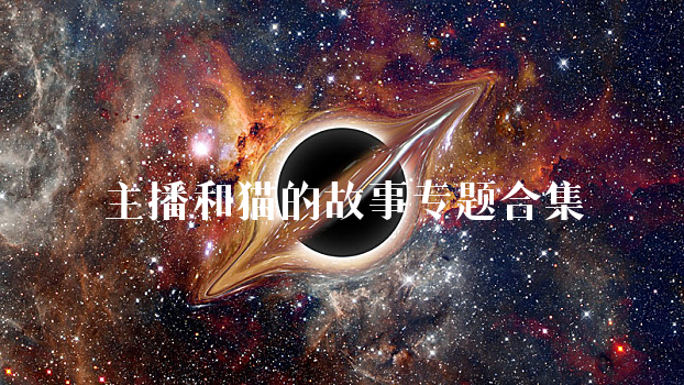 主播和猫的故事