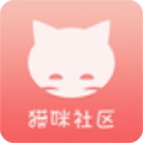 猫咪社区